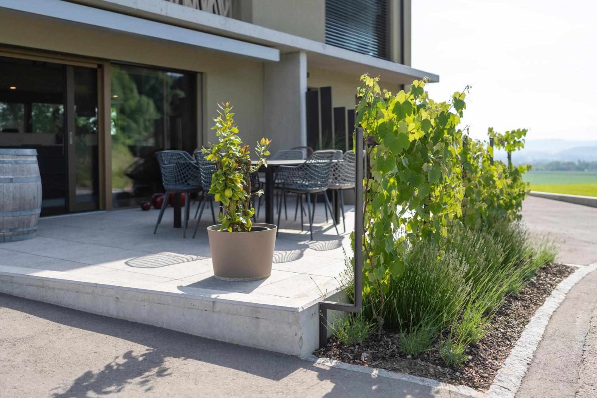 Le Rive Sud Hotel Estavayer-le-lac Exterior photo